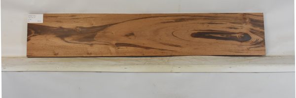 GONC1181_1