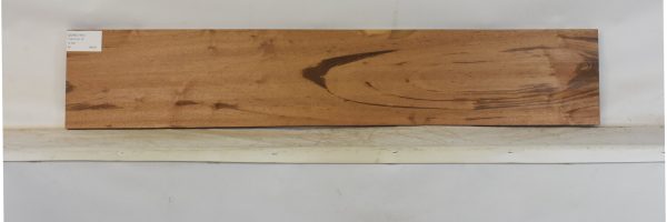GONC1181_2