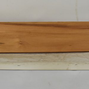 GONC1182_1