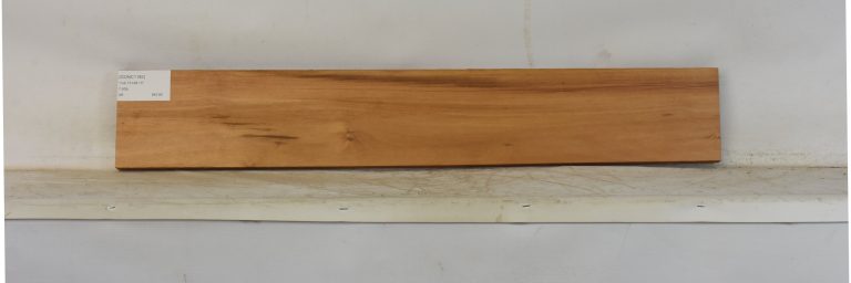 GONC1182_1