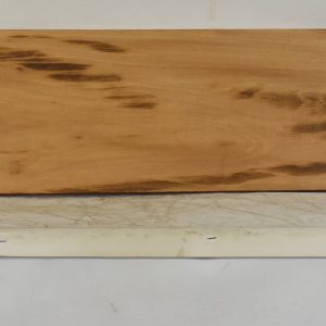GONC1183_1