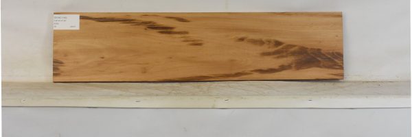 GONC1183_1