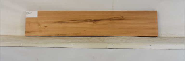 GONC1184_1