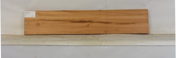 GONC1184_2