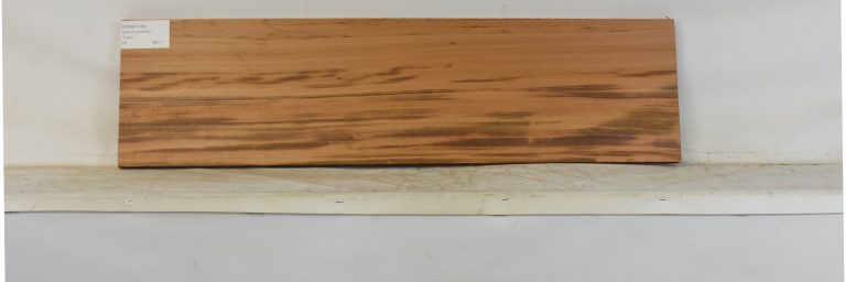 GONC1185_1
