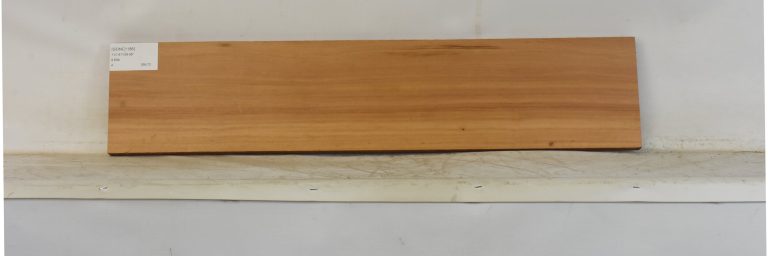 GONC1186_1