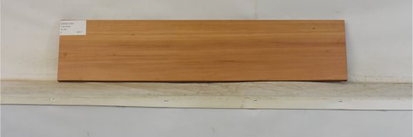 GONC1187_1