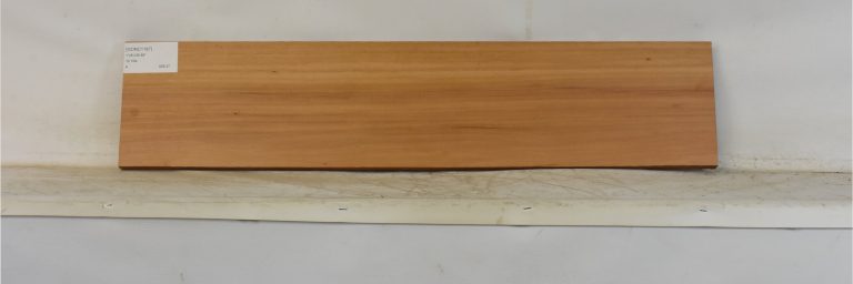 GONC1187_1