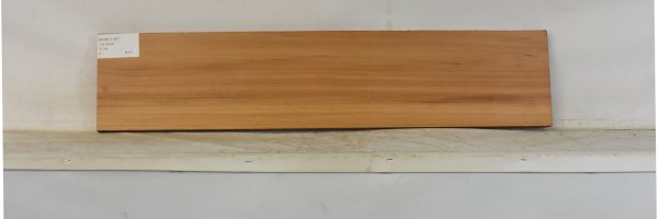 GONC1187_2