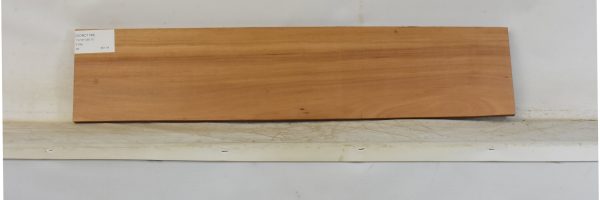 GONC1188_1