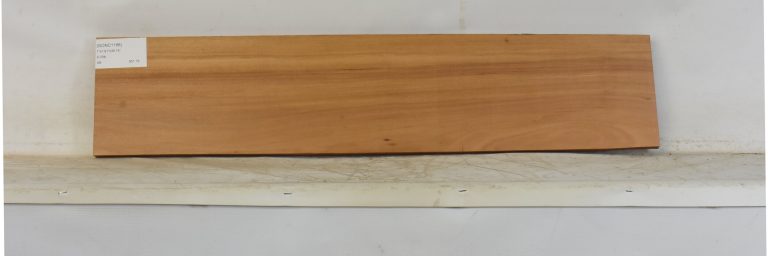 GONC1188_1