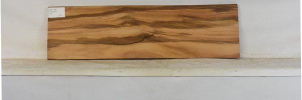 GONC1189_1