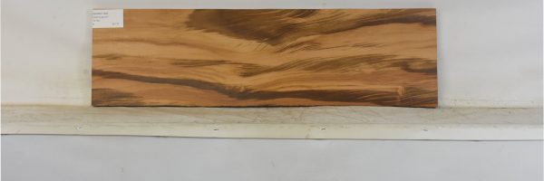 GONC1189_2