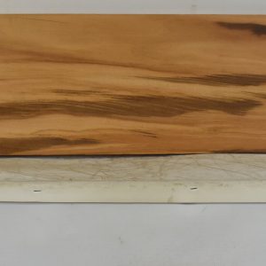 GONC1190_1