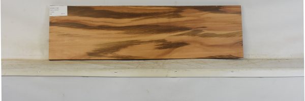 GONC1190_2