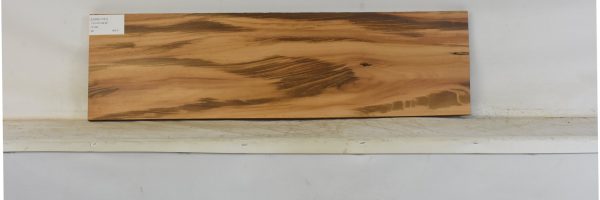 GONC1191_1