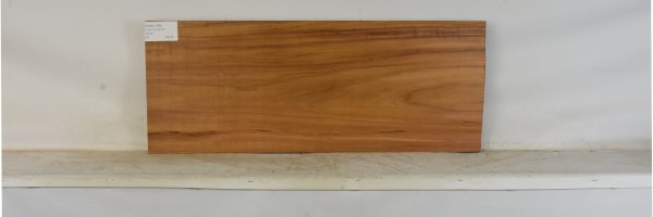 GONC1196_1