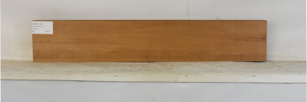GONC1198_1