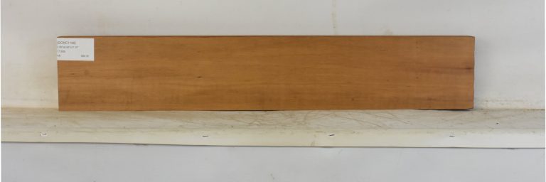 GONC1198_1