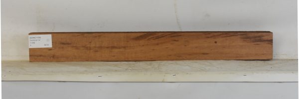 GONC1199_1