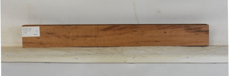 GONC1199_1