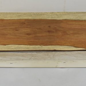 KIAAT1355_1