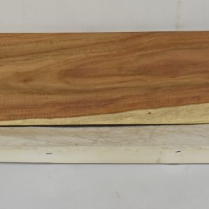 KIAAT1356_1