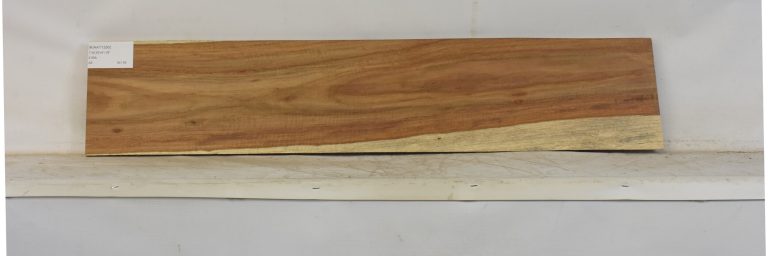 KIAAT1356_1