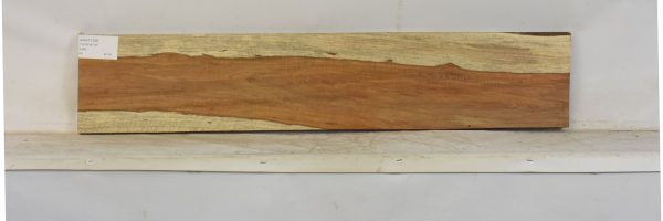 KIAAT1356_2