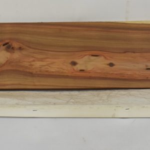KIAAT1357_1