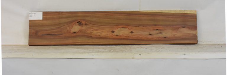 KIAAT1357_1