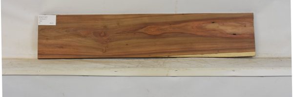KIAAT1357_2