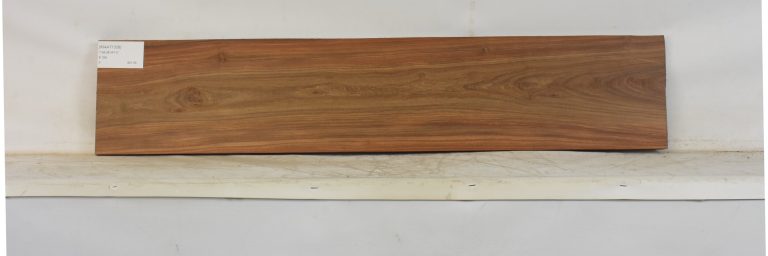 KIAAT1358_1
