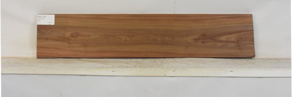 KIAAT1358_2