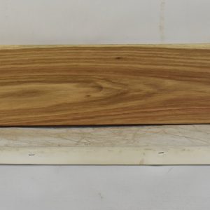 KIAAT1359_1