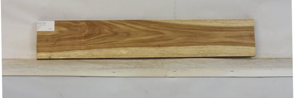 KIAAT1360_1