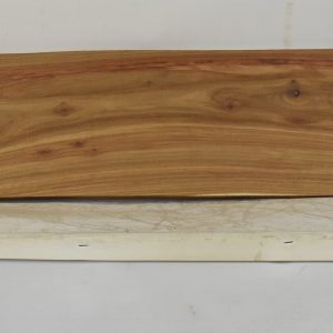 KIAAT1361_1