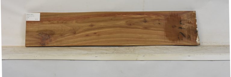 KIAAT1361_1