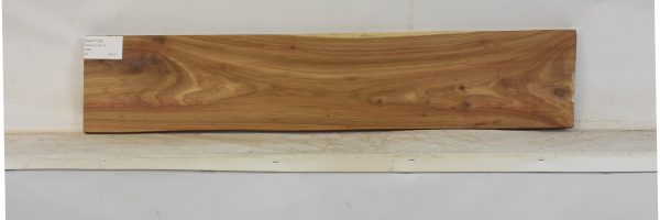 KIAAT1361_2