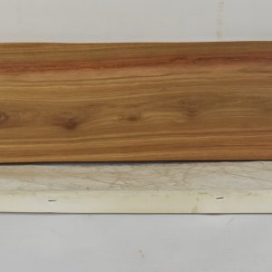 KIAAT1362_1