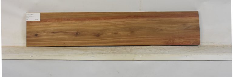 KIAAT1362_1