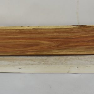 KIAAT1363_1