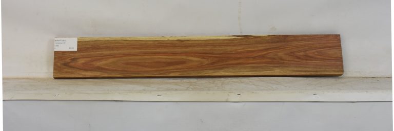 KIAAT1363_1
