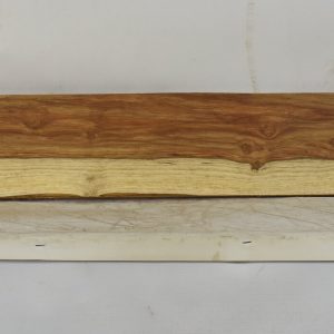 KIAAT1364_1