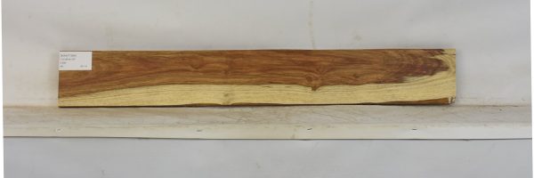 KIAAT1364_1