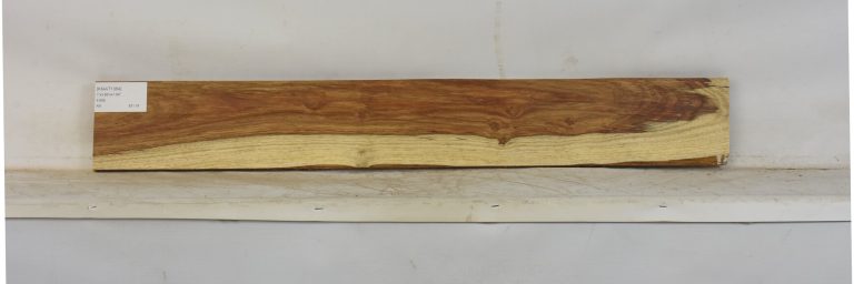KIAAT1364_1