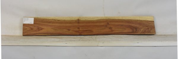 KIAAT1364_2