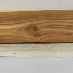 KIAAT1365_1