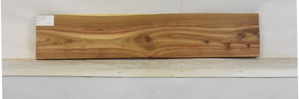 KIAAT1365_1