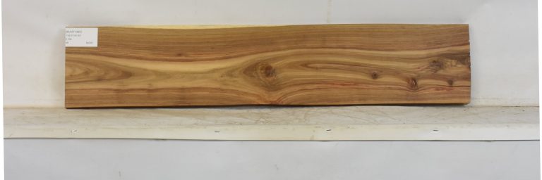 KIAAT1365_1